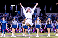 EHS Majestics